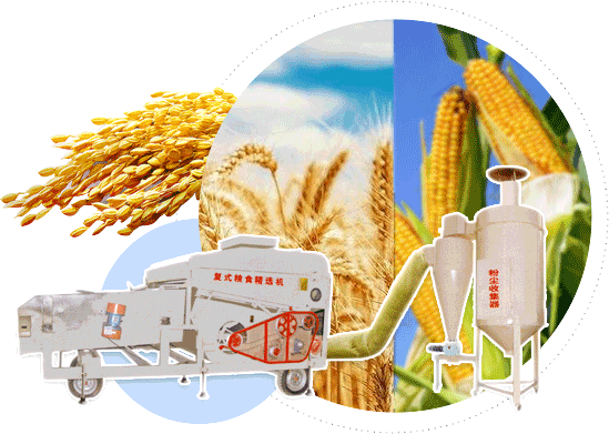 粮食精选机_玉米精选机_小麦精选机_小麦筛选机_玉米筛选机厂家_焦作新区zoty中欧体育全站厂